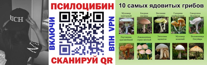 купить  сайты  Сураж  KRAKEN tor  Галлюциногенные грибы GOLDEN TEACHER 